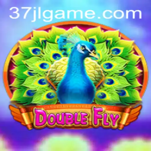 Exploring DoubleFly: An Innovative Game Experience